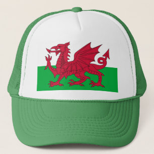 Pet met de vlag van Wales