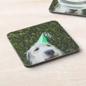 Pet met een hond onderzetter (Linkerzijde)