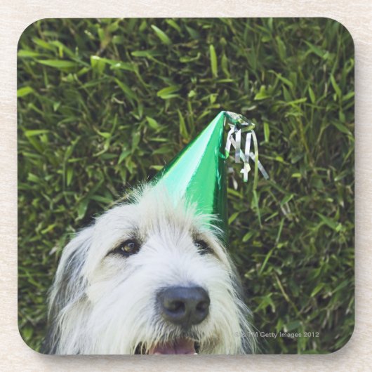 Pet met een hond onderzetter (Voorkant)