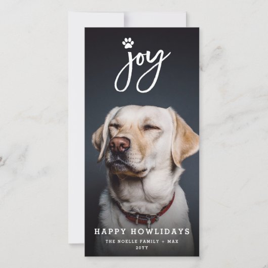 Pet met foto's maken van penseel Hondenliefhebber  Feestdagenkaart (Voorkant)