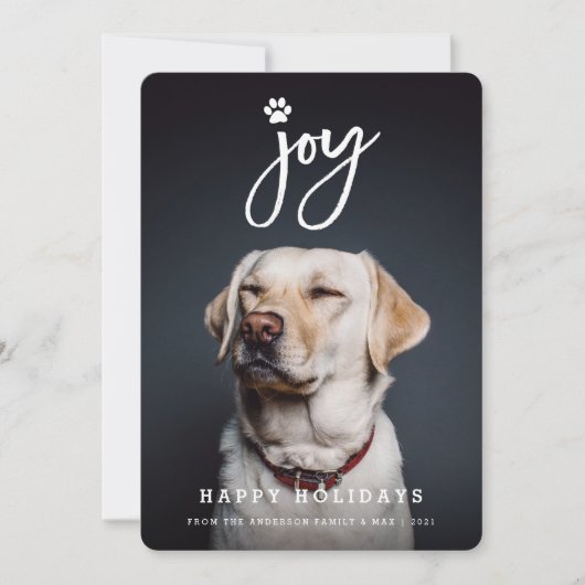 Pet met foto's maken van penseel Hondenliefhebber Feestdagenkaart (Voorkant)