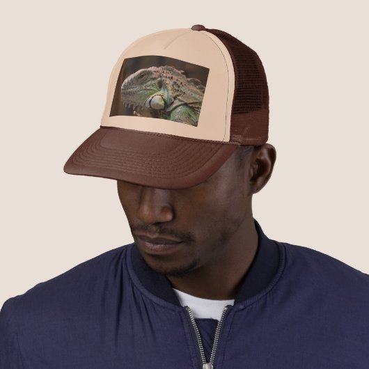 Pet met hoofd van de kleurrijke Iguana hagedis (In situ)