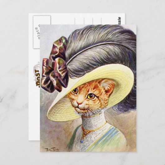 Pet met kattenvoer briefkaart (Voorkant / Achterkant)