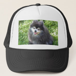 pet met originele Pommerse foto
