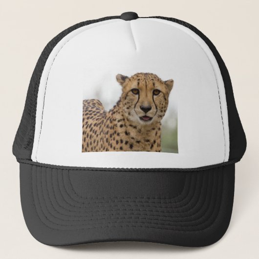 Pet met zeer kleine wilde dieren (Voorkant)