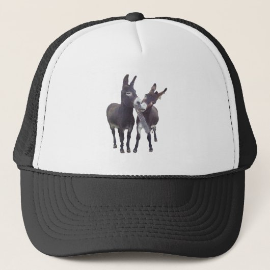 pet "Missy's Donkeys" (Voorkant)
