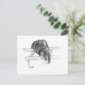 Pet mouse sketch postcard by Nicole Janes Briefkaart (Staand voorkant)