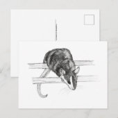 Pet mouse sketch postcard by Nicole Janes Briefkaart (Voorkant / Achterkant)