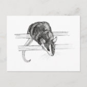 Pet mouse sketch postcard by Nicole Janes Briefkaart (Voorkant)