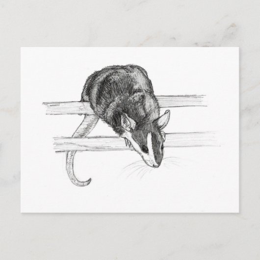 Pet mouse sketch postcard by Nicole Janes Briefkaart (Voorkant)