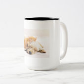 Pet Mug Tweekleurige Koffiemok (Voorkant rechts)
