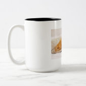 Pet Mug Tweekleurige Koffiemok (Links)