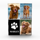 Pet Name Paw Dog Lover Photo 3 Collage Photo Block Fotoblokken (Voorkant)