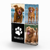 Pet Name Paw Dog Lover Photo 3 Collage Photo Block Fotoblokken (Rechts)
