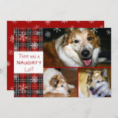 Pet Naughty of Nice Snowflake Plaid 3 foto's Feestdagenkaart (Voorkant / Achterkant)