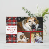 Pet Naughty of Nice Snowflake Plaid 3 foto's Feestdagenkaart (Staand voorkant)