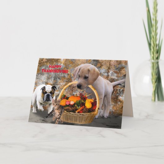 PET OOGST THANKSGIVING KAART (Voorkant)