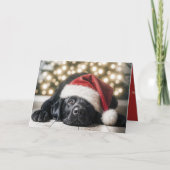 Pet op een zwarte labrador retriever feestdagen kaart (Voorkant)