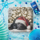 Pet op een zwarte labrador retriever papieren bordje (Feest)