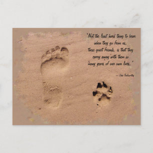 Pet & Owner Prints in de zand Briefkaart