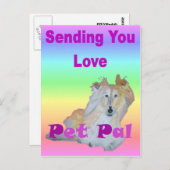 Pet Pal Briefkaart (Voorkant / Achterkant)