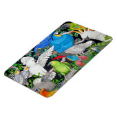 Pet Papegaaien van de World Premium Magnet Magneet (Linkerzijde)