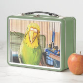 Pet Parrot (In situ)