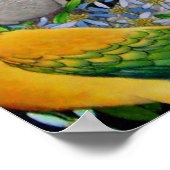 Pet Parrots of the World Poster (Hoek)