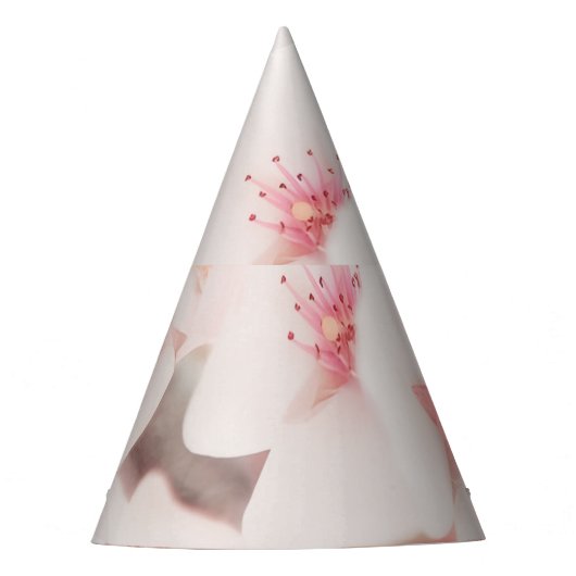 Pet partij feesthoedjes (Voorkant)