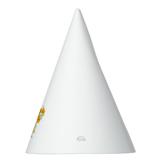 Pet partij feesthoedjes (Rechts)