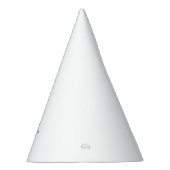 Pet partij feesthoedjes (Rechts)