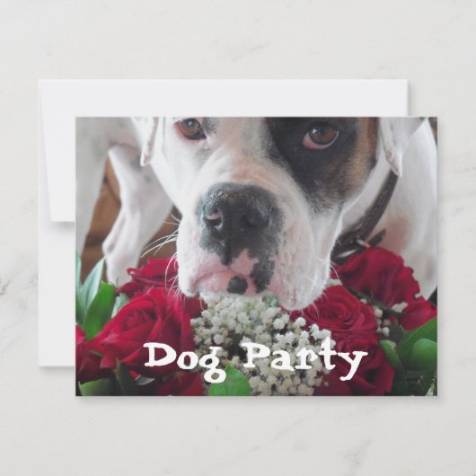 Pet Party Invitations Cute Boxer w/Rozen Bouquet Kaart (Voorkant)