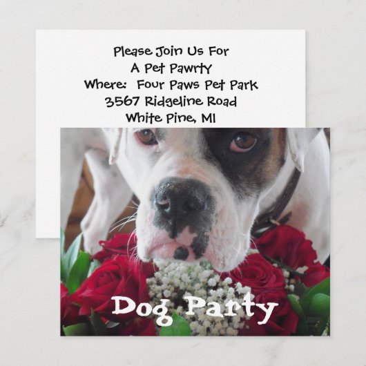 Pet Party Invitations Cute Boxer w/Rozen Bouquet Kaart (Voorkant / Achterkant)