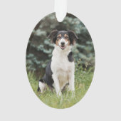 Pet Paw Afdrukken Aangepaste Gold Pet Name Foto Ornament (achterkant)