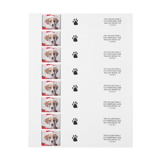 Pet Paw Print Kerstmis (Vel)