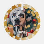 Pet Paw Prints Gepersonaliseerde Pet Name Foto Glas Ornament (Achterkant)
