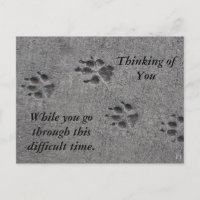 Pet Paws in Cement - Altijd daar