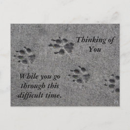 Pet Paws in Cement - Altijd daar Briefkaart