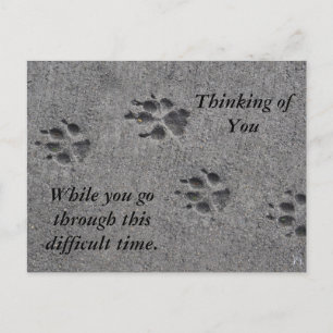 Pet Paws in Cement - Altijd daar Briefkaart