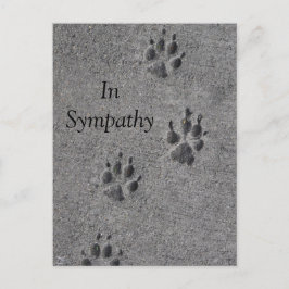 Pet Paws in Cement - Altijd daar Briefkaart