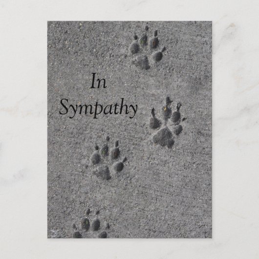 Pet Paws in Cement - Altijd daar Briefkaart (Voorkant)