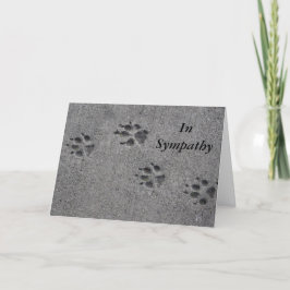 Pet Paws in Cement - Altijd daar Kaart