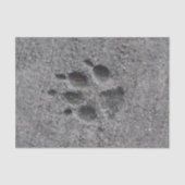 Pet Paws in Cement - Altijd daar Tissuepapier (Voorkant)