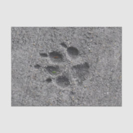 Pet Paws in Cement - Altijd daar Tissuepapier