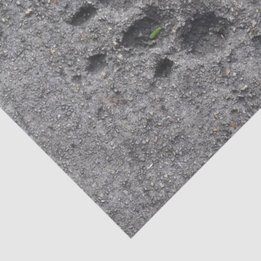 Pet Paws in Cement - Altijd daar Tissuepapier (Detail)