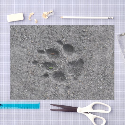 Pet Paws in Cement - Altijd daar Tissuepapier (Craft)
