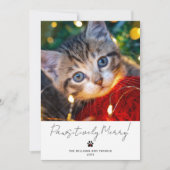 Pet Photo 2 Picture Script Calligraphy Paw Print Feestdagenkaart (Voorkant)