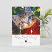 Pet Photo 2 Picture Script Calligraphy Paw Print Feestdagenkaart (Staand voorkant)