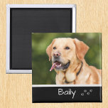 Pet Photo Aangepast personaliseren Magneet<br><div class="desc">Dit ontwerp is gemaakt met behulp van digitale kunst. Het kan in het gebied worden aangepast door de klik aan te passen en de naam, initialen of woorden aan te passen. U kunt de tekstkleur en de stijl ook veranderen of de tekst voor een slechts ontwerp van het afbeelding schrappen....</div>