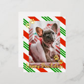 Pet Photo Candy Cane Striped Happy Pawlidays Gold Folie Feestdagen Briefkaart (Voorkant / Achterkant)